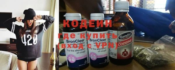 прущие грибы Ступино