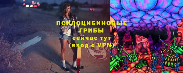 кокс Бородино